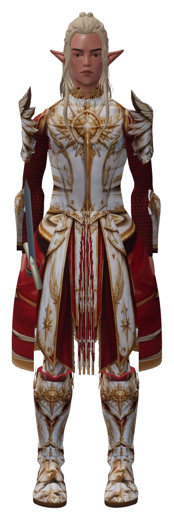 A Valdren Paladin in the guild's level-50 plate.